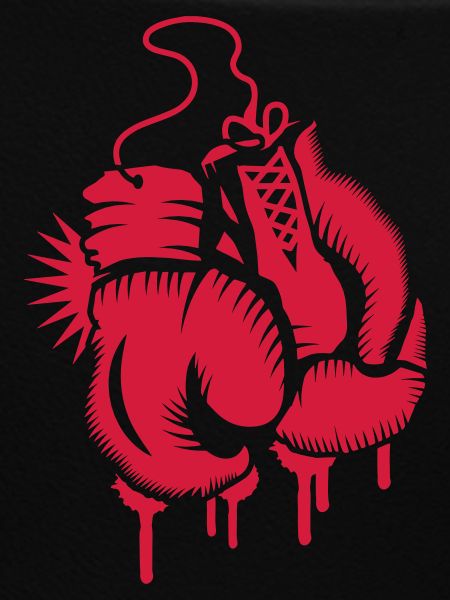 two boxing gloves