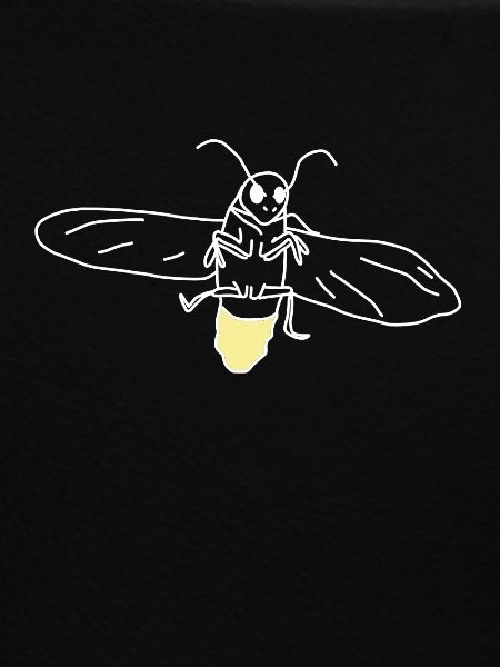 Firefly