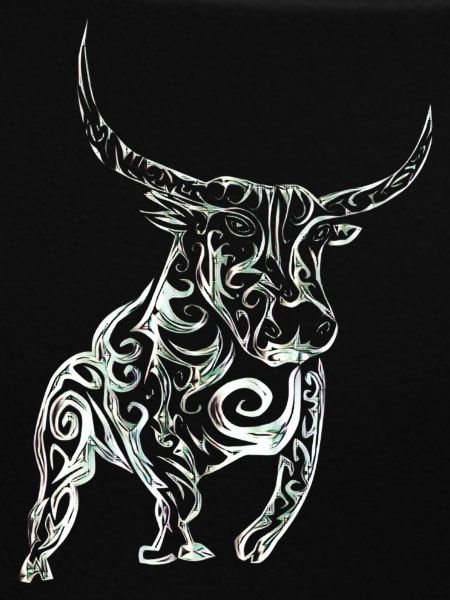 bull