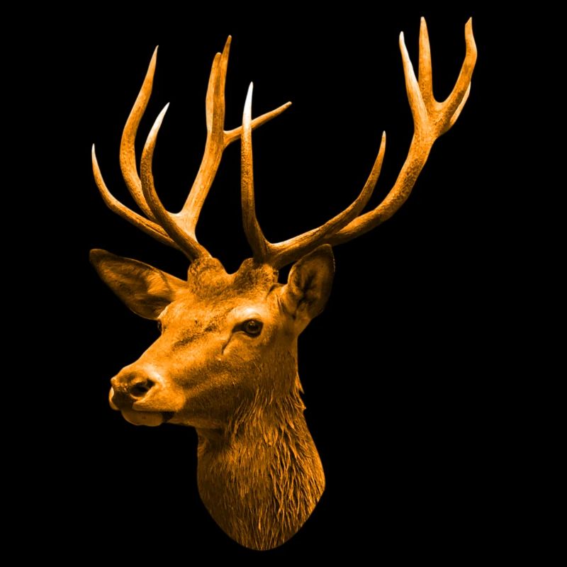 golden deer head