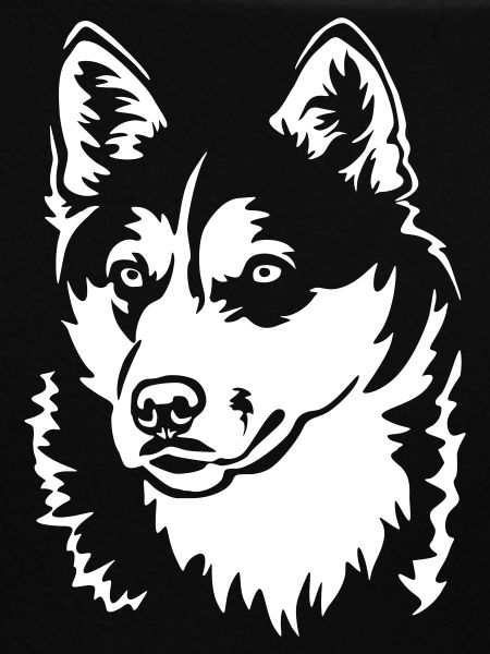 Husky Head "Black Edition"