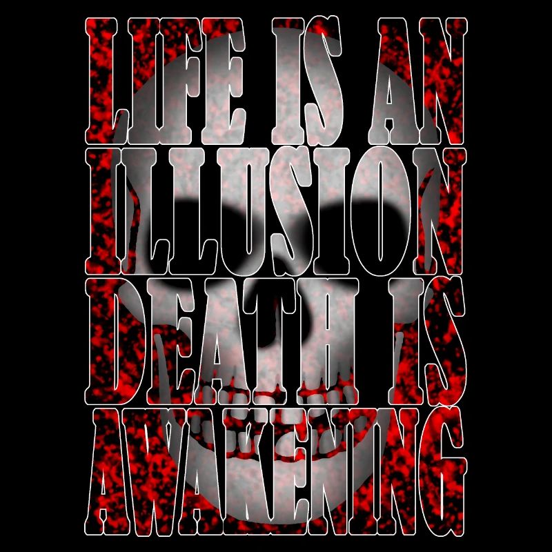 La vie est une illusion R6Z