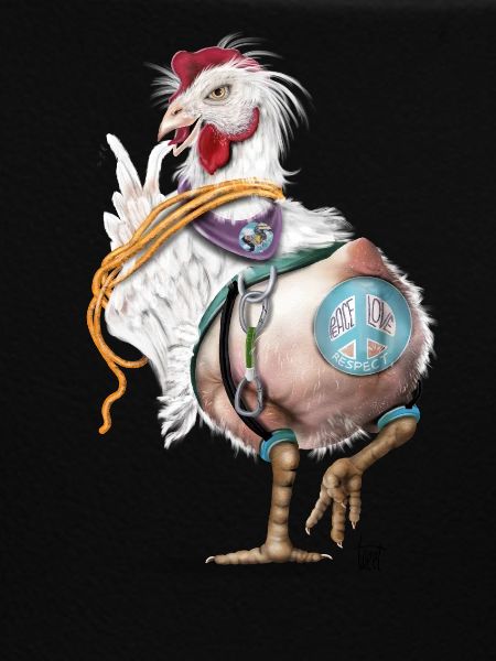 Crazy chicken