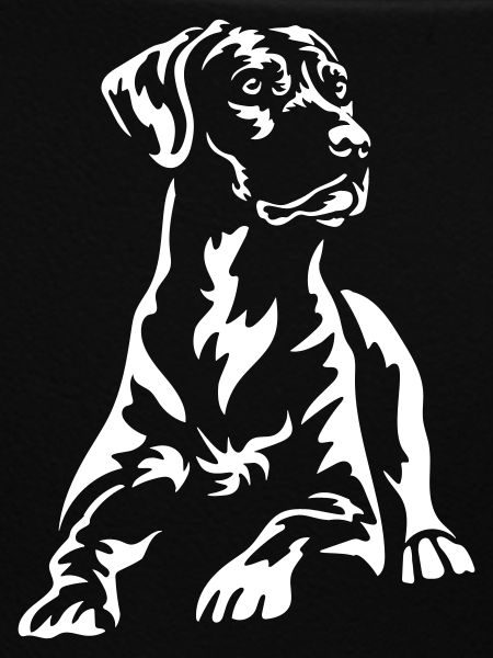 Rhodesian Ridgeback "Black Edition"