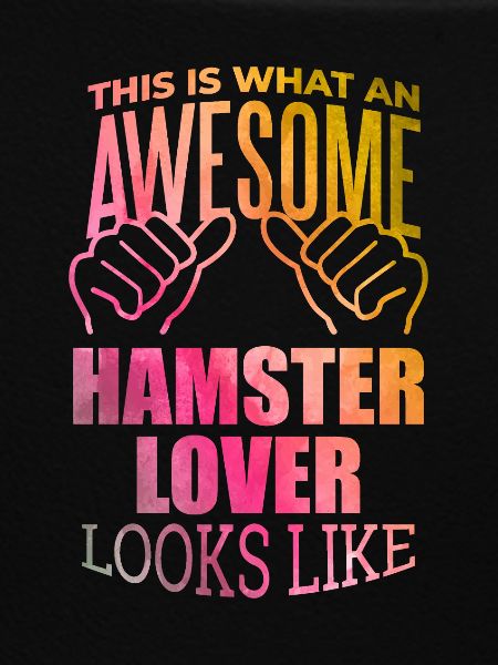 Hamster-Hamster-Hamster