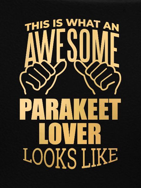 Parakeet Parakeet Parakeet