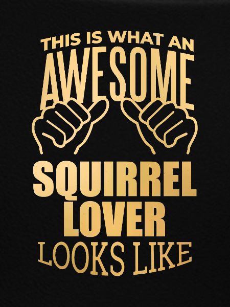 Squirrel Squirrel Squirrel
