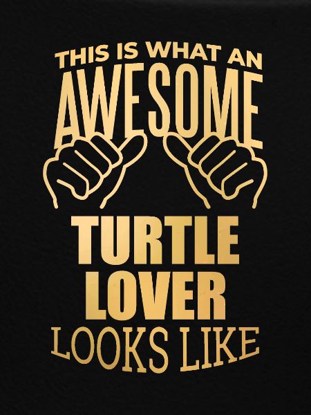 Turtle Turtle Turtle