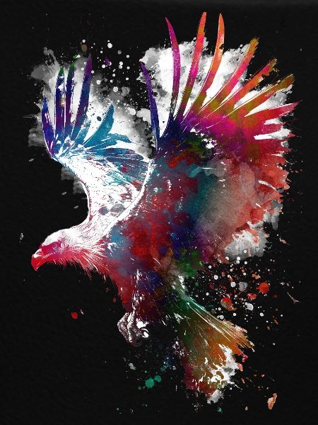 Bird eagle