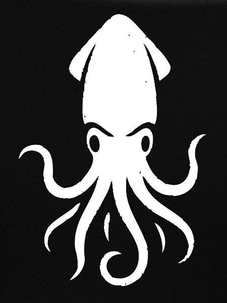 Squid