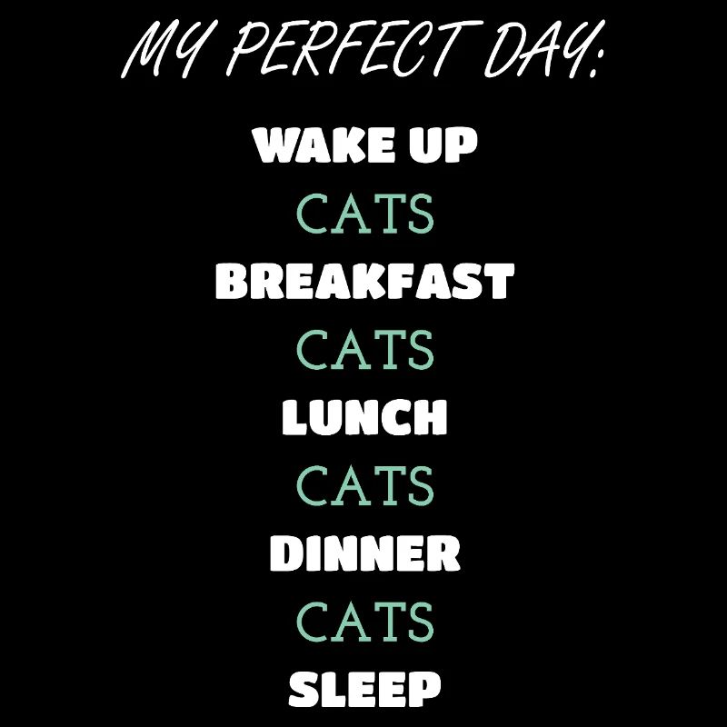 Whimsical Cat Daily Routine Design