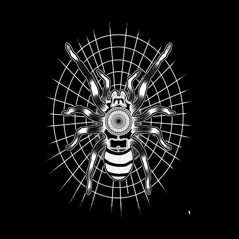 Spider on a round spider web