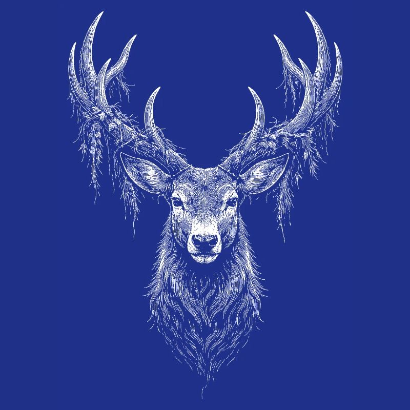 Rotwild 