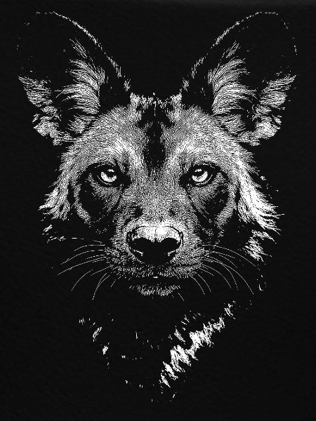 Afrikanischer Wildhund