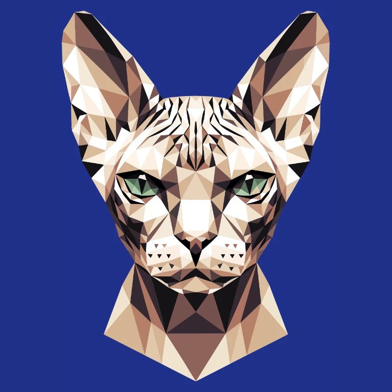 Sphynx Chat Sphynx Chat Chat Canadien Sphinx mignon