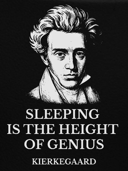 Kierkegaard Schlafgenie-Tee