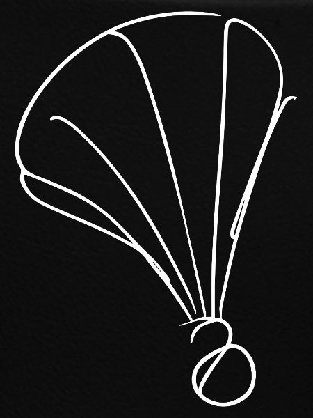 Badminton Drawing