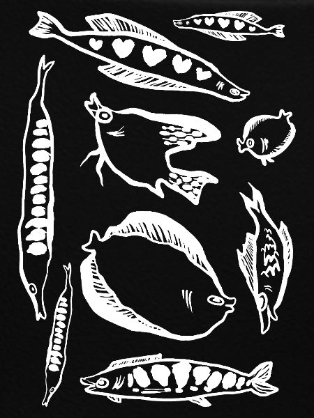 PISCES
