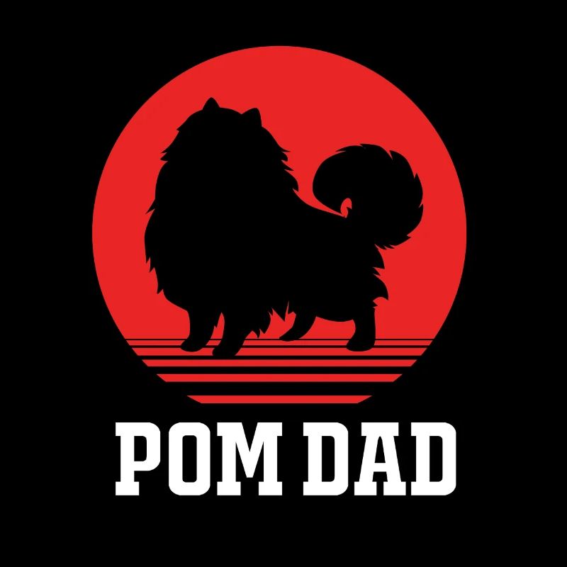 Zwergspitz Pomeranian