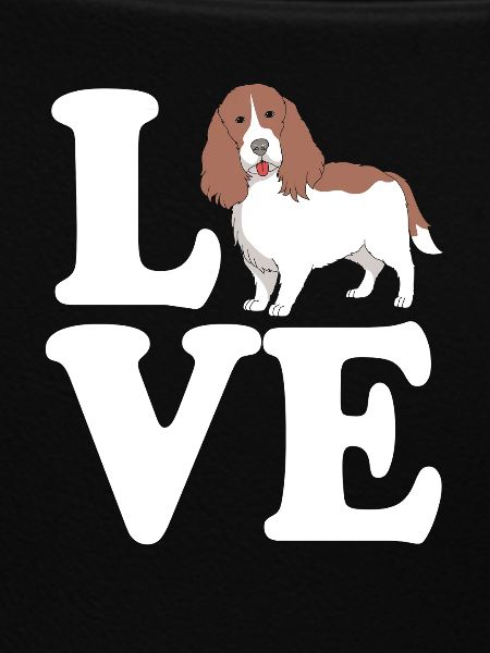 Springer Spaniel Hund