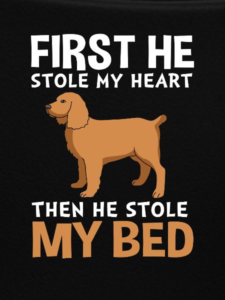 Boykin Spaniel