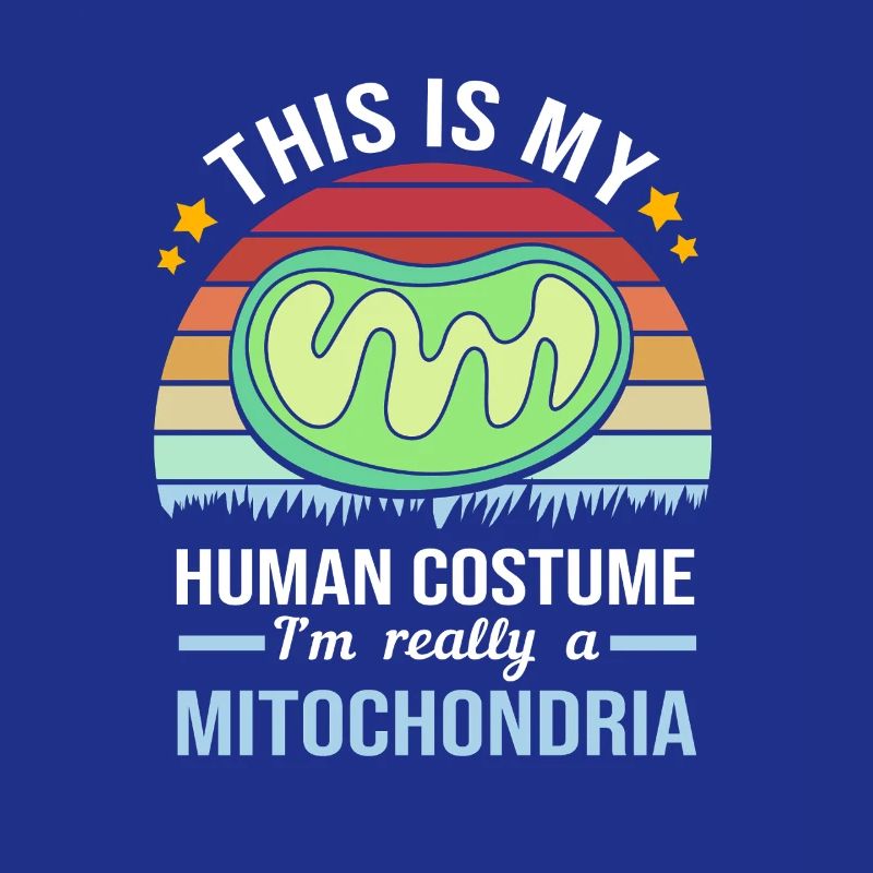 Formule structurelle de la molécule