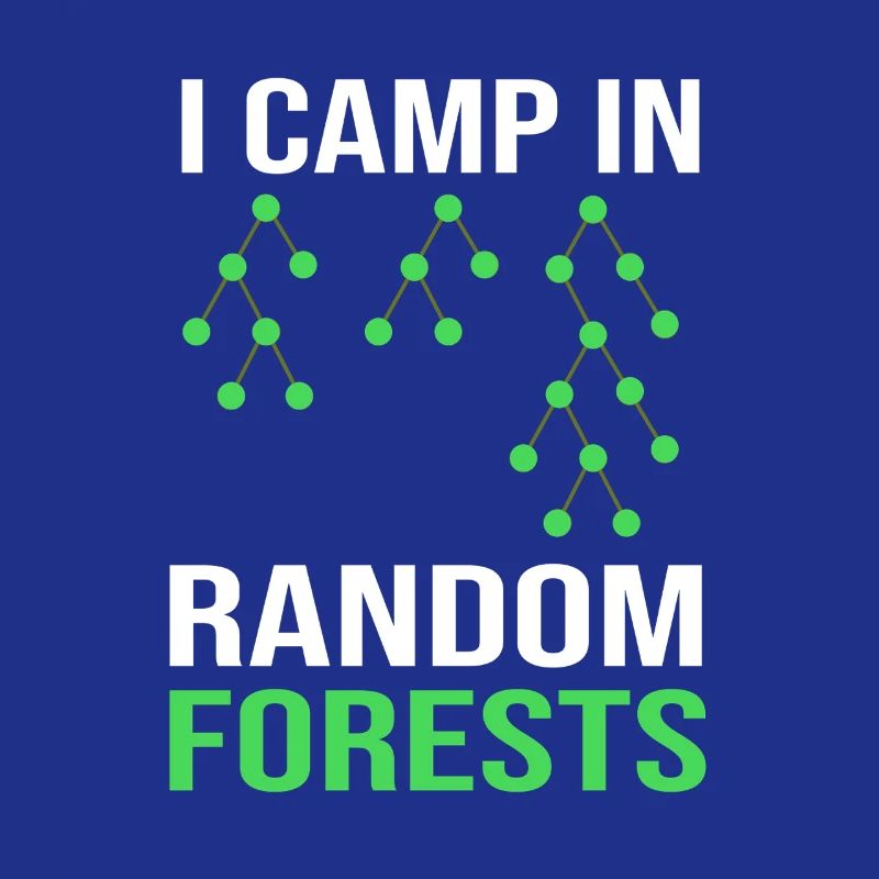 Programmierer Coder GPT