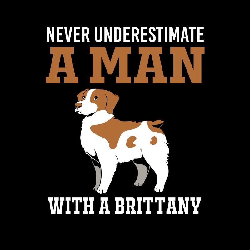 Brittany Dog Brittany Dog