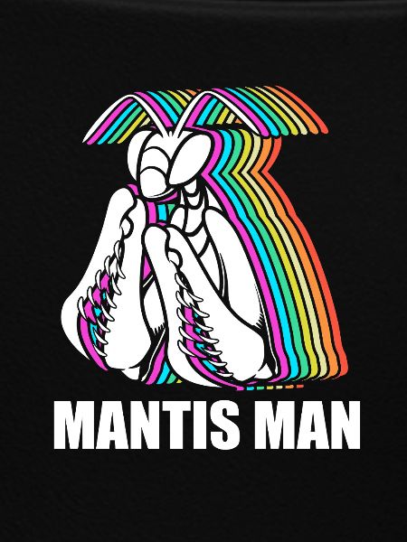 Gottesanbeter Gottesanbeterin Mantis