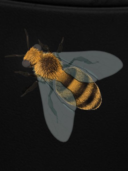 bee