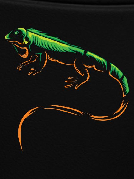 iguana