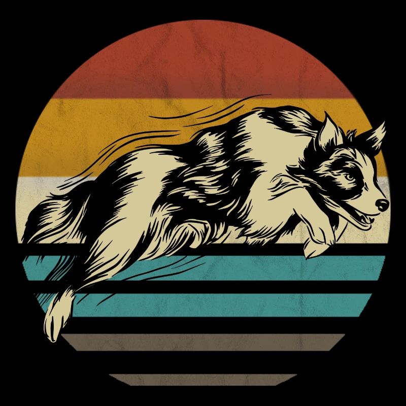 Border Collie chien chiot élevage Agility chien de compagnie