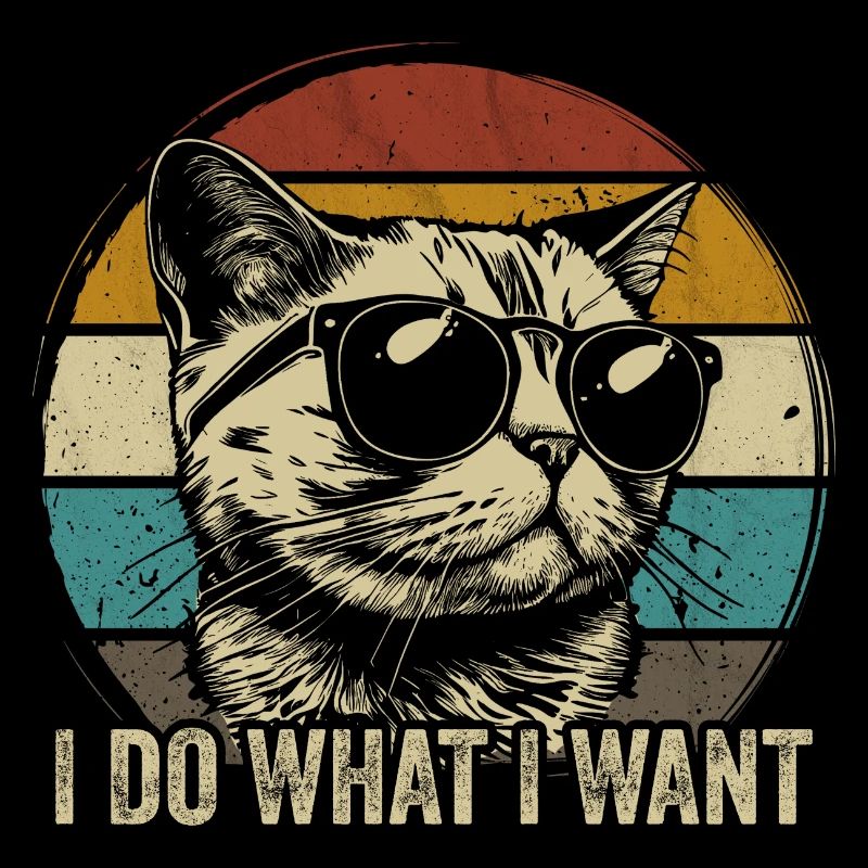 chat drôle je fais ce que je veux dire chat chat chat