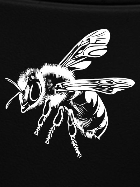Bee Beekeeper Graphic