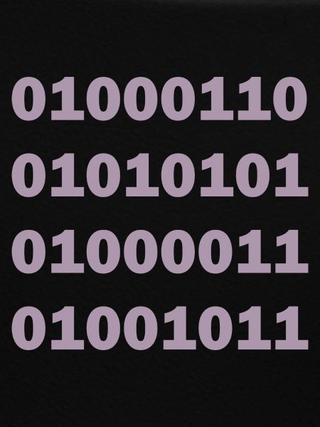 Binary Code Fuck