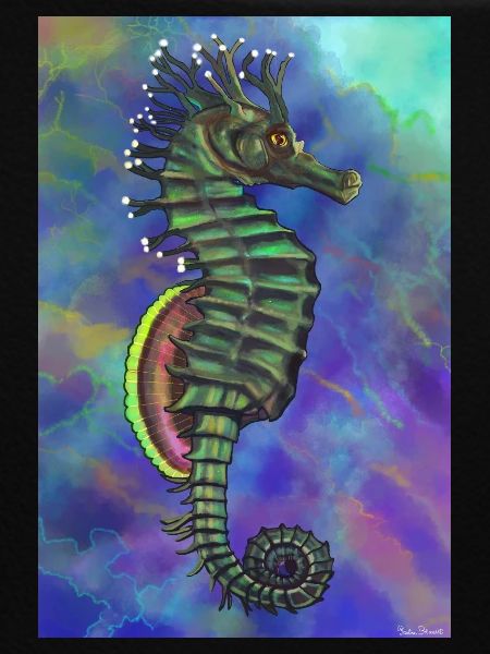 Hippocampus
