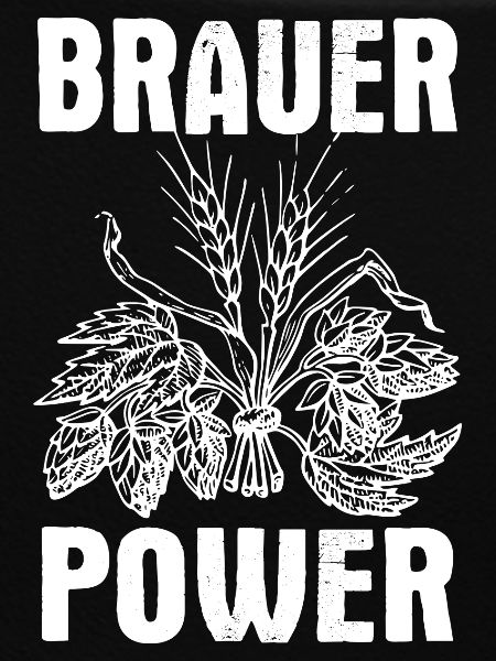 Brauer Power