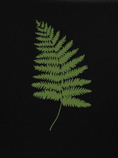 Think Green Fern Nature