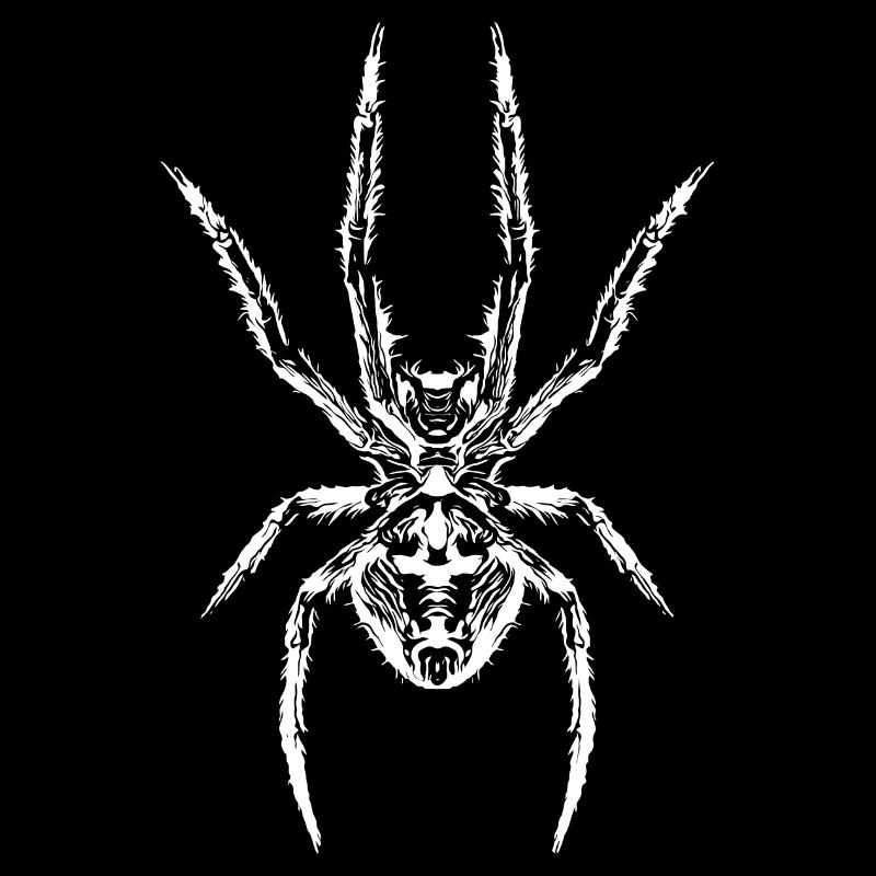 Le pouvoir de l’araignée – le symbole de la force et du mystère