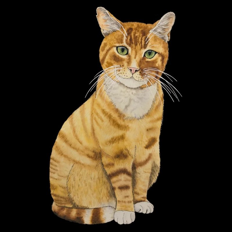 Chat rouge assis