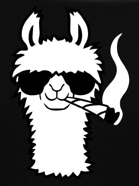Lama With Joint