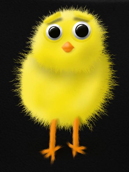 sweet chick