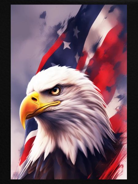 Bald Eagel - Patriotic