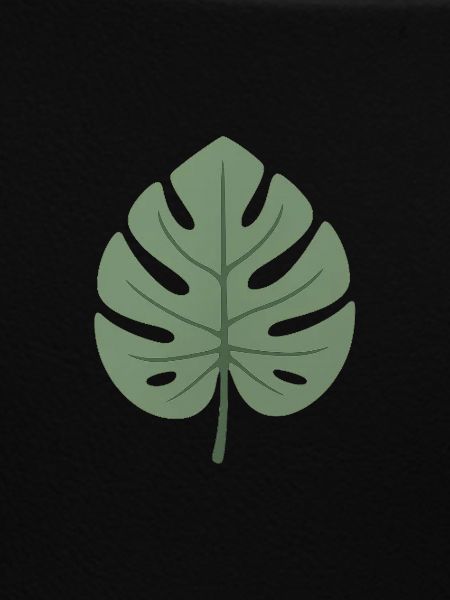 Minimal monstera leaf