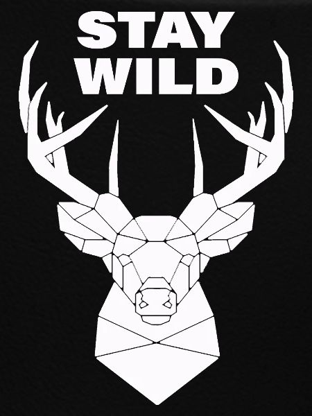 STAY WILD