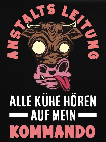 Anstaltsleitung Chef Leitung