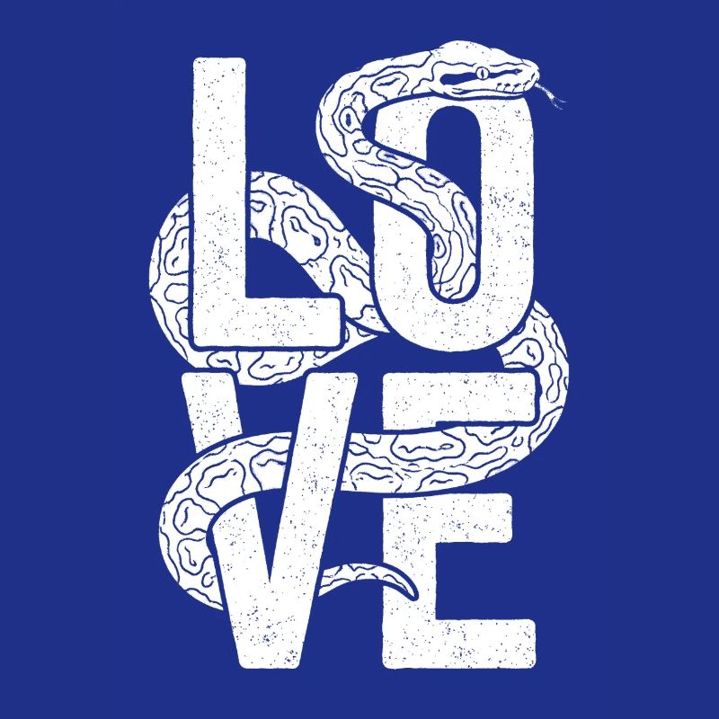 King Python Snakes LOVE Terrarium Python