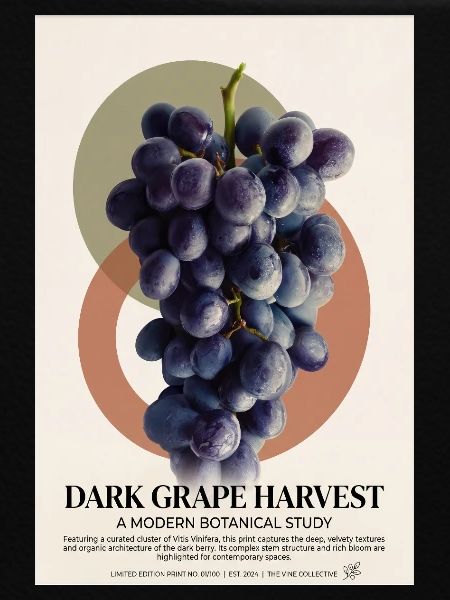 Dark Grape Harvest