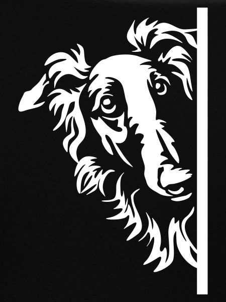 Barsoi Kopf "Black Edition"
