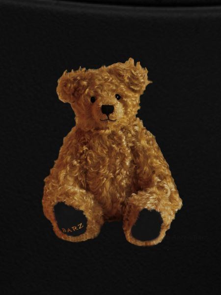 teddy bear